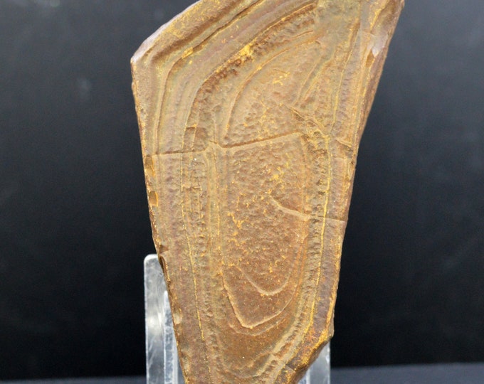 Tsesite 263 grams - Sahara, Algeria