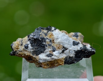 Wöhlerite (TL) 12 grammi - Langesundsfjorden, Norvegia
