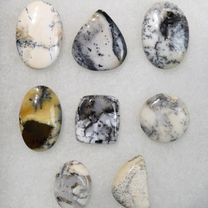 Lote de 8 cabujones de ópalo dendrítico de 242 quilates, piedra natural, Turquía // BX10
