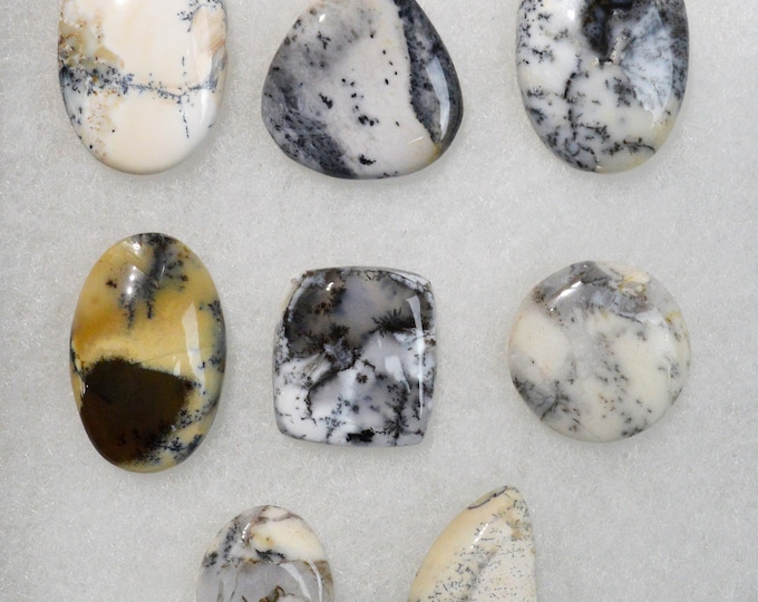 Lot of 8x Dendrite Opal - 242 carats - natural stone cabochon - Türkiye // BX10