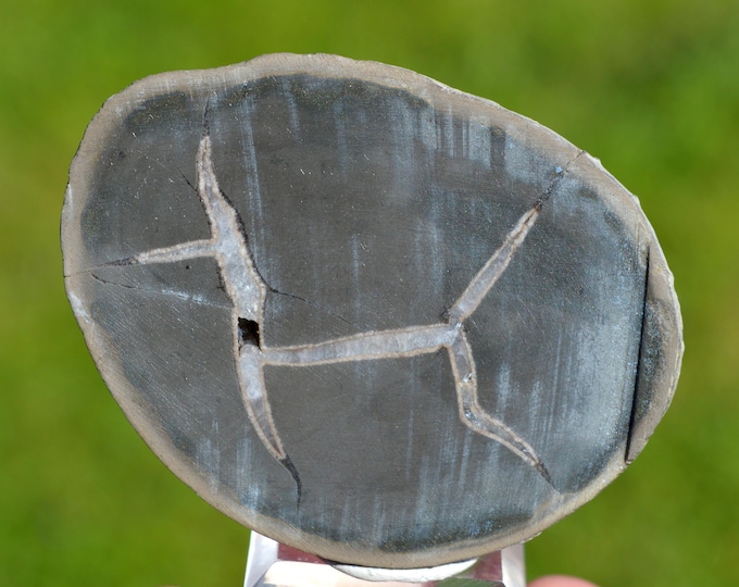 Septaria 111 grams - Beauvoisin septaria occurrence, Beauvoisin, Nyons, Drôme, Auvergne-Rhône-Alpes, France