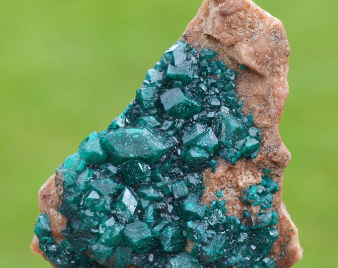 Dioptase 81 grams - Tantara Mine, Shinkolobwe, Kambove Territory, Haut-Katanga, DR Congo