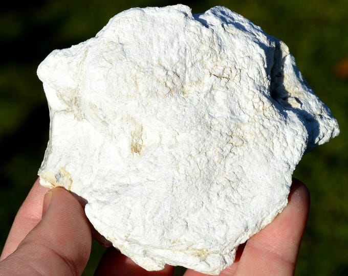 Magadiite 269 grams - Lake Magadi, Kajiado County, Kenya