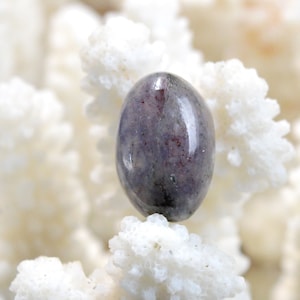 Cordiérite Iolite - 16 carats - cabochon pierre naturelle - Australie / ES8