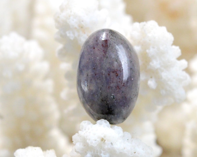 Cordiérite Iolite - 16 carats - cabochon pierre naturelle - Australie / ES8