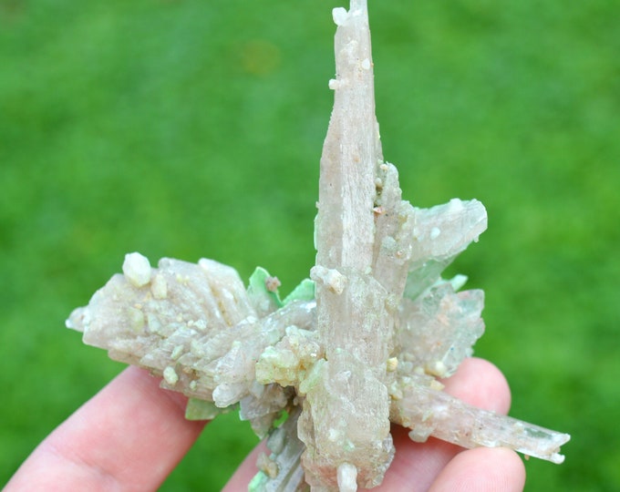 Gypsum 101 grams - Pernatty Lagoon, Pernatty, Pastoral Unincorporated Area, South Australia, Australia