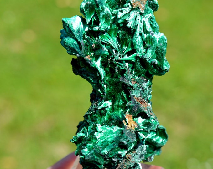 Malachite 117 grams - L'Etoile du Congo Mine, Lubumbashi, Haut-Katanga, DR Congo