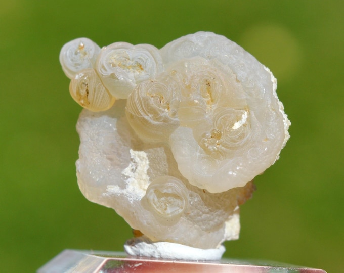 Guttular Chalcedony 8.5 grams - Aulon, Saint-Gaudens, Haute-Garonne, Occitanie, France