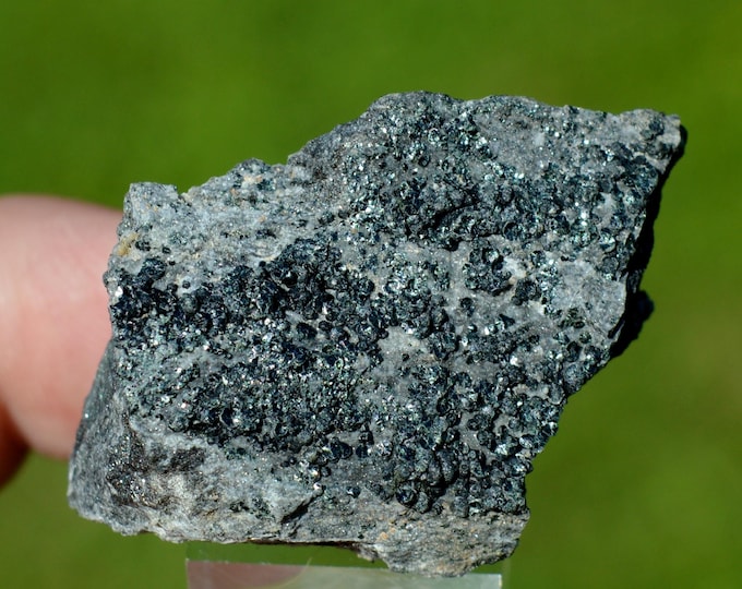 Clinochlore 21 grams - Elba Island, Livorno Province, Tuscany, Italy