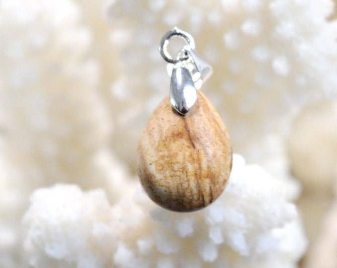 Landscape Jasper 5.9 carats - natural stone pendant - Madagascar // CW25