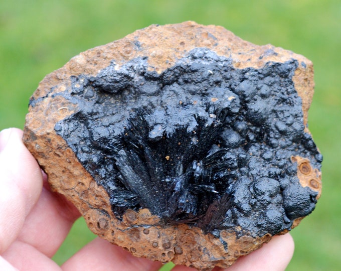 Vivianite & Goethite 261 grams - Chernomorsky mine, Russia