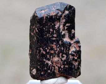 Kaersutite 30 grams - Lukov outcrop, Lukov, Teplice District, Ústí nad Labem Region, Czech Republic