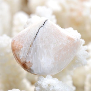 Scolecite orange - 33 carats - cabochon pierre naturelle - Inde / CC34