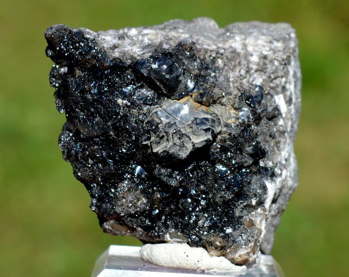 Oil var. Bitumen 91 grams - Gaujacq, Dax, Landes, Nouvelle-Aquitaine, France