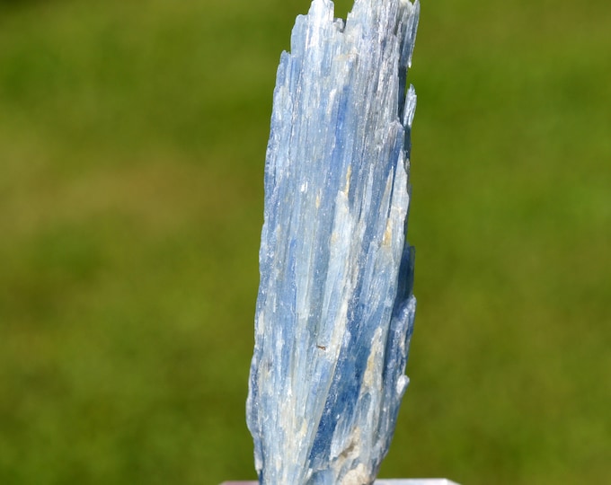 Disthene cyanite kyanite - 49 grams - Minas Gerais, Brazil
