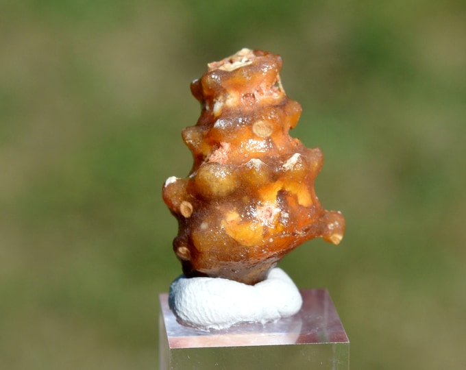 Agate escargot 7 gr - Agate Snail - (calcedoine opale morganite) - Oued Ed-Dahab Province, Dakhla-Oued Ed-Dahab Region, Maroc