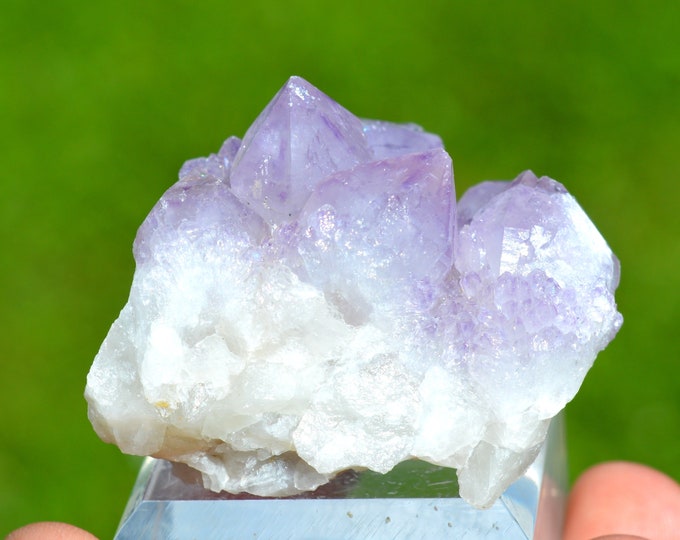 Cactus Amethyst 78 grams - Boekenhoutshoek area, Mkobola, Nkangala District, Mpumalanga, South Africa