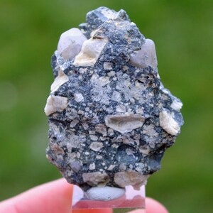 May include: A close-up of a dark grey rock with white and light grey crystals embedded in it. The rock is approximately 7.5 cm tall and 5 cm wide.