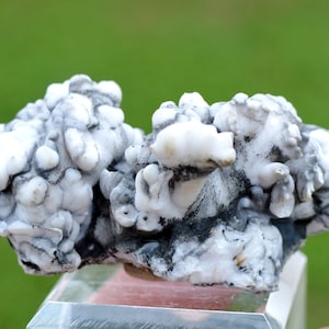 Aragonite &quot;Flos Ferri&quot; 69 grams - Green Fir Mine, Altenberg, Ste Marie-aux-Mines, Colmar-Ribeauvillé, Haut-Rhin, Alsace, France