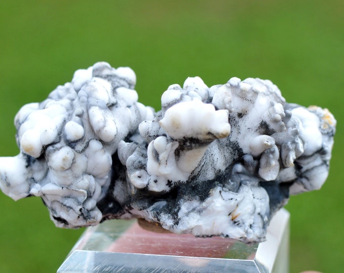 Aragonite "Flos Ferri" 69 grams - Green Fir Mine, Altenberg, Ste Marie-aux-Mines, Colmar-Ribeauvillé, Haut-Rhin, Alsace, France