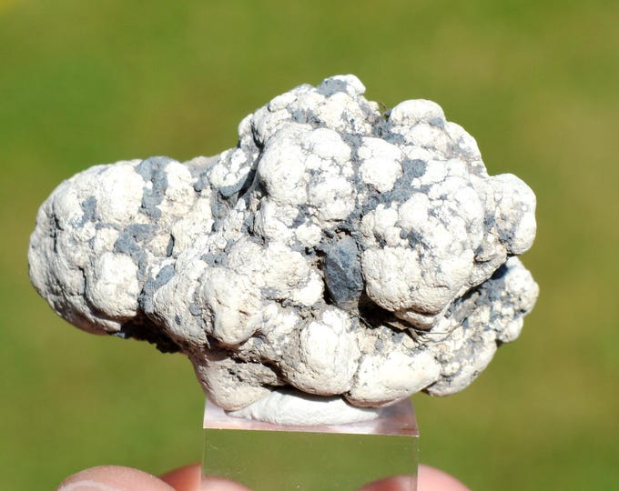 Destinezite 24 grams - Argenteau, Visé, Liège, Wallonia, Belgium - RARE