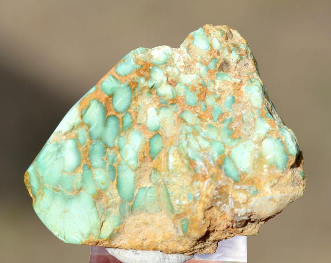 Variscite 11 grams - Palazuelo de las Cuevas, San Vicente de la Cabeza, Zamora, Castile and Leon, Spain