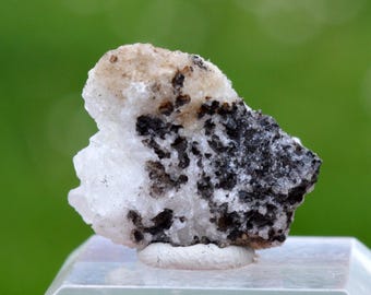 Cesarolite 6,4 grammi - Miniera Sidi Amor ben Salem, giacimento di Pb-Zn di Slata, Tajerouine, Kef, Tunisia