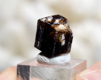 Tourmaline Var. Dravite - 5.3 grams - Pajaru, Jajarkot District, Karnali Pradesh, Nepal