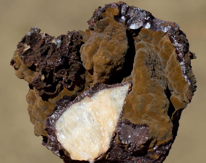 Goethite 132 grams - Mont-Roc Mine, Mont-Roc, Castres, Tarn, Occitanie, France