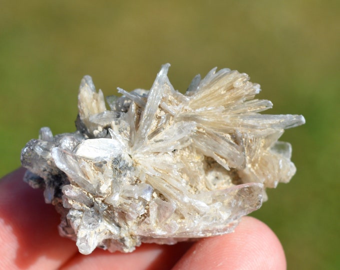 Gypsum 21 grams - Angervilliers quarry, Forges-les-Bains, Palaiseau, Essonne, Ile-de-France, France