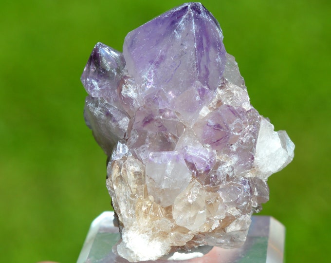 Cactus Amethyst 66 grams - Boekenhoutshoek area, Mkobola, Nkangala District, Mpumalanga, South Africa