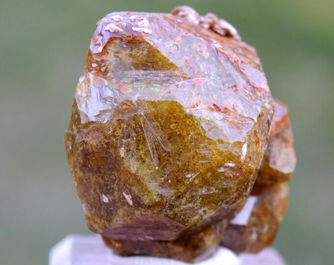 Garnet var. Grossular & Clinochlore 73 grams - Trantimou, Diakon, Arrondissement of Diakon, Bafoulabé Cercle, Kayes Region, Mali