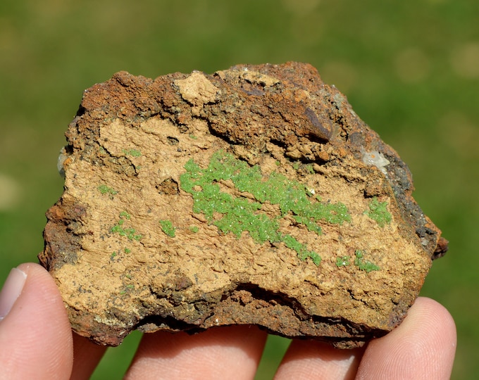 Conichalcite & Limonite 96 grams - Ojuela Mine, Mapimí, Mapimí Municipality, Durango, Mexico
