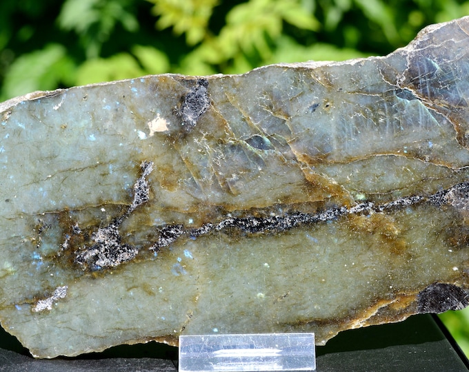Slice - Labradorite - 1 polished side - 510 grams - Madagascar