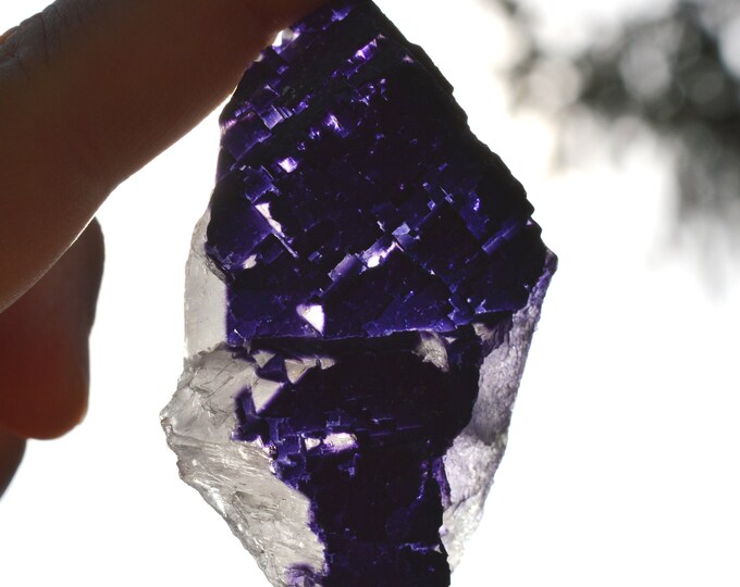Fluorite 115 grams - Melchor Múzquiz, Múzquiz Municipality, Coahuila, Mexico