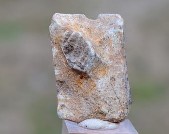 Staurolite 13 grams - Fairy Stone State Park, Patrick County, Virginia, USA