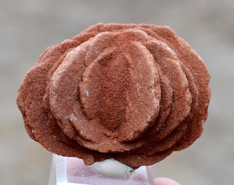 Barite var. Pink Barite 76 grams - Lake Thunderbird area, Norman, Cleveland County, Oklahoma, USA