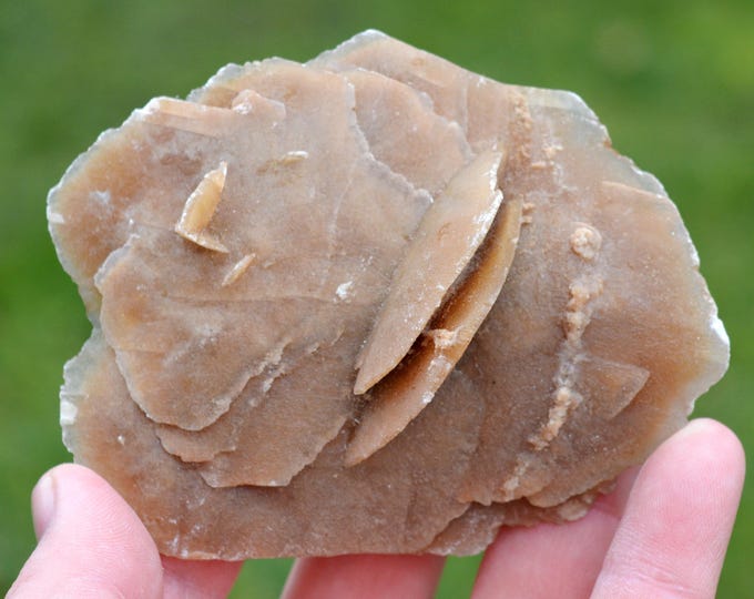 Gypsum var. Desert Rose 174 grams - Chott el Djerid, Tunisia