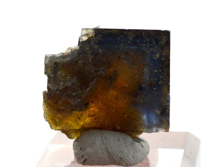 Fluorite 42 grams - Valzergues, Villefranche-de-Rouergue, Aveyron, Occitanie, France