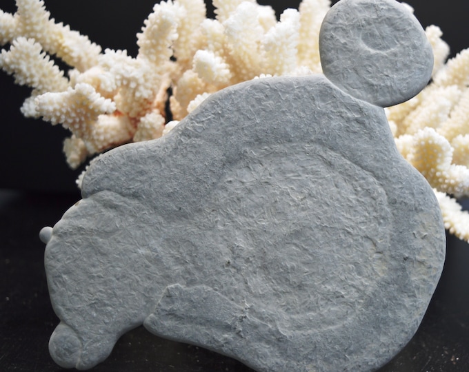 Fairy stone - 351 grams - Harricana River, Quebec, Canada
