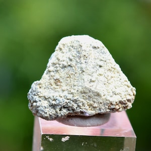 May include: A small, white, rough-textured rock with a grey hue. The rock is sitting on a clear glass display stand.