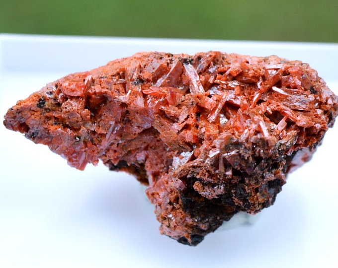 Crocoite 88 grams - Dundas mineral field, Zeehan District, West Coast municipality, Tasmania, Australia