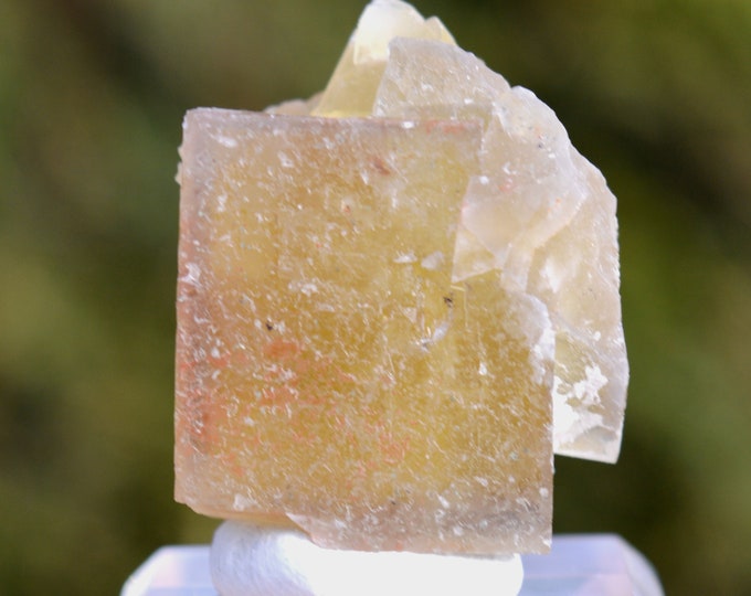 Fluorite 53 grams - Sidi Ayed, Boulemane Caïdat, Boulemane Circle, Boulemane Province, Fez-Meknes Region, Morocco