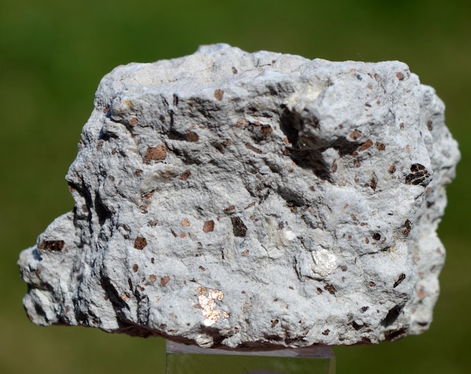 Domite & Fluorophlogopite Pseudobrookite 56 grams - Puy de Ténuzet quarry, Saint-Ours-les-Roches, Riom, Puy-de-Dôme, France