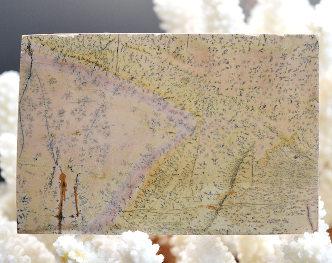 Polished Slice - Landscape Stone 91 mm - Guilin, Guangxi, China