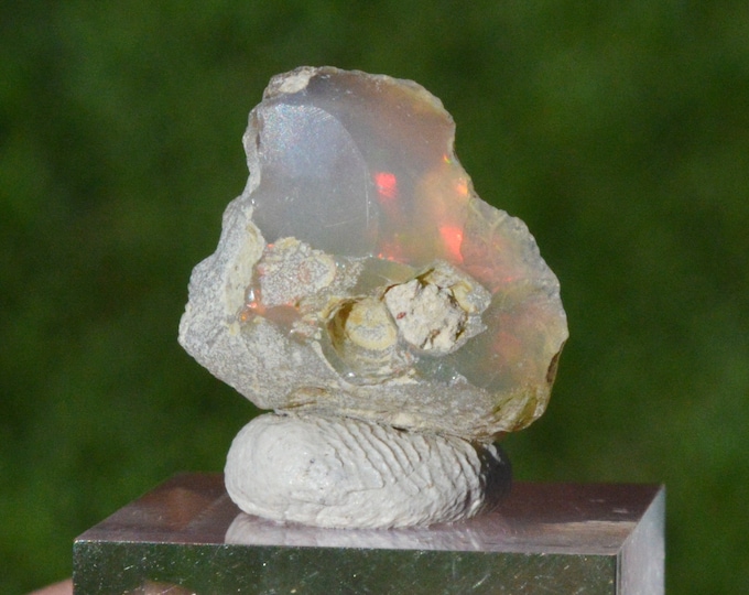 Raw opal - 10.2 carats - South Wollo Zone, Amhara Region, Ethiopia