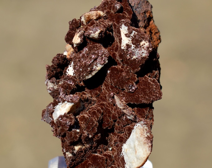 Goethite 40 grams - Mont-Roc Mine, Mont-Roc, Castres, Tarn, Occitanie, France