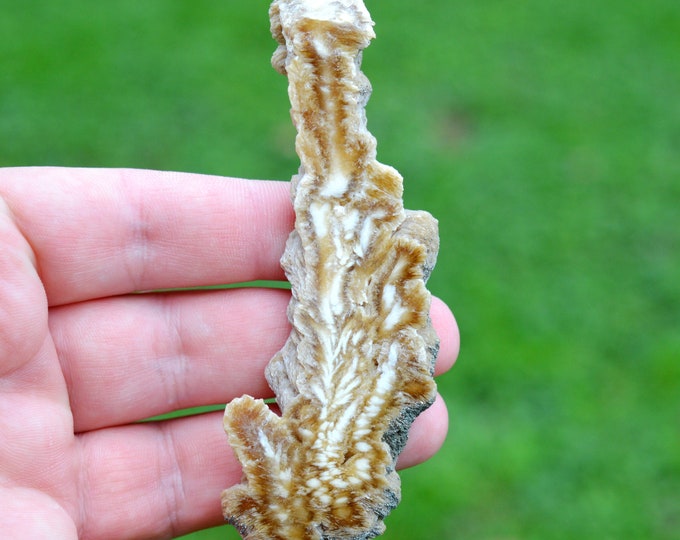 Slice - Barite & Pyrite 62 grams - Lubin Główny shafts (Lubin mine), Lubin, Lubin County, Lower Silesian Voivodeship, Poland