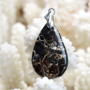 Turitella agate 23 carats - natural stone cabochon pendant - USA // DV41