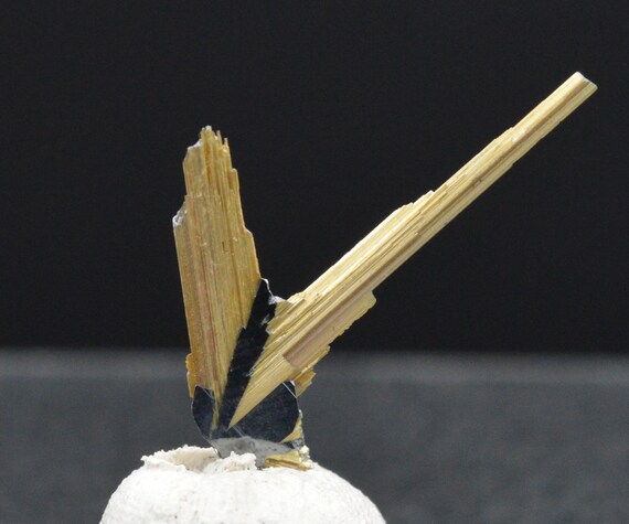 Rutile de titane titane titane 0,39 grammes - RUTILE on HEMATITE aesthetic specimen - BRAZIL 7cc68a Rutile de titane titane titane 0,39 grammes - RUTILE on HEMATITE aesthetic specimen - BRAZIL 7cc68a